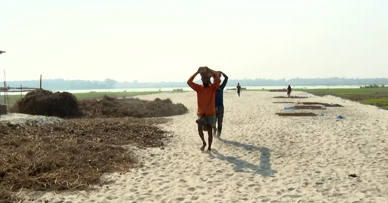 শ্রমিকরা কাজ করছেন